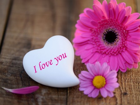 I Love You White Heart Stone Near Pink Petaled Flowers