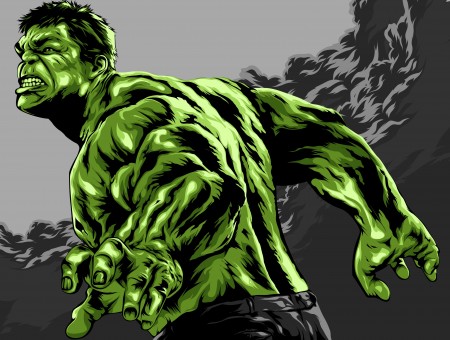 The Hulk Character