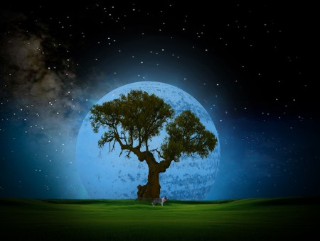 Green Tree And Grass Under Night Sky Painting