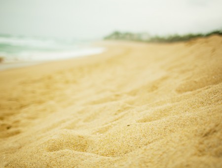 Brown Beach Sand