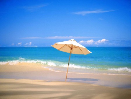 White And Brown Beach Umbrella