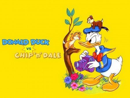 Donald Duck Vs Chip N' Dale