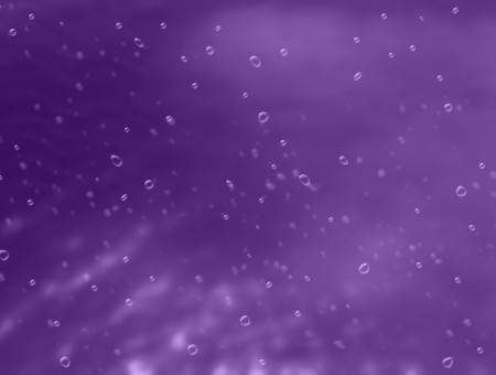 Purple And Water Droplets Wallpaper