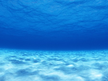 Underwater Photo Shot