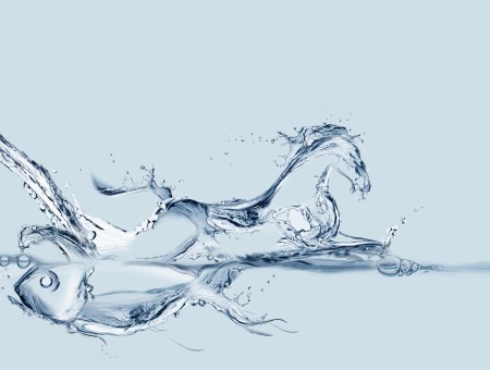 Water Horse 3d Illustration