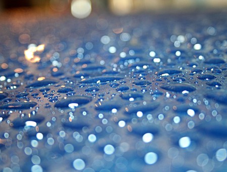 Blue Rain Macro Photography
