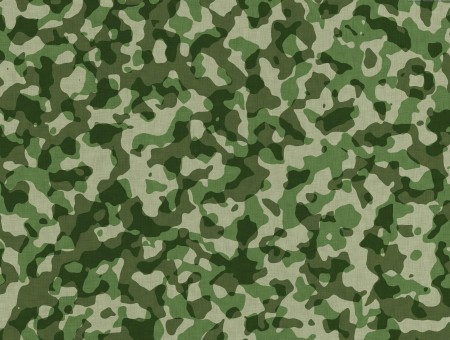 Green And Beige Camouflage Artwork