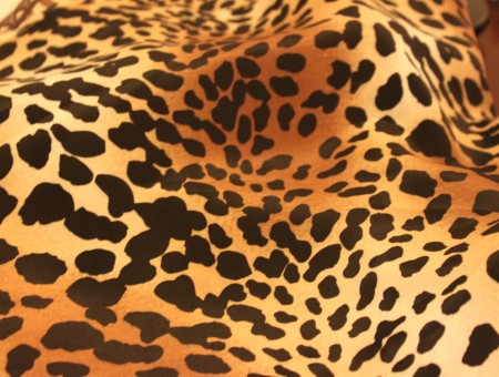 Black And Brown Leopard Textile
