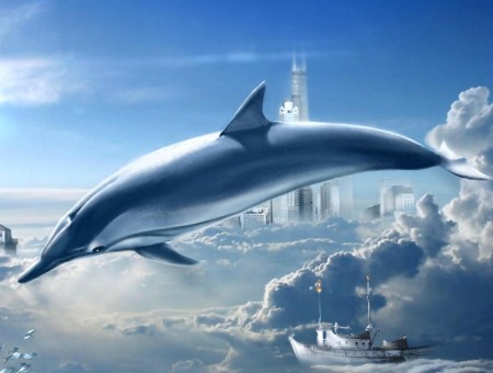 Gray Dolphin Illustration