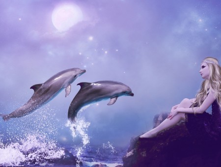 Gray Dolphin Illustrations