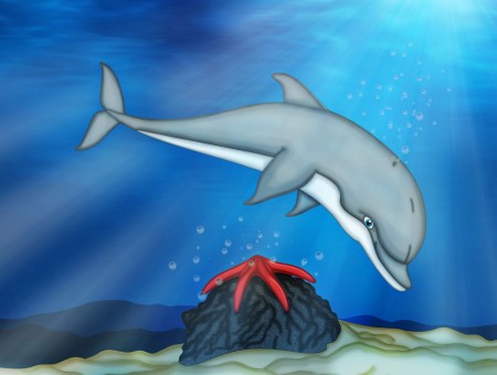 Gray Dolphin Illustration