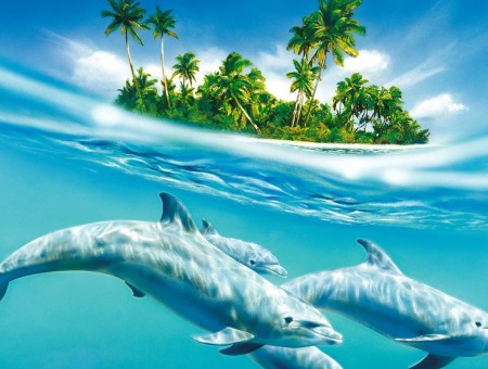 Dolphins Under The Sea Painting