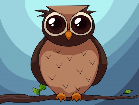 Black And Brown Owl Illustration