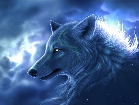Wolf Graphic Illustration