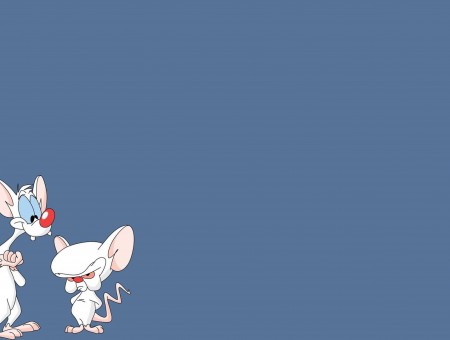 Brain Mouse Character