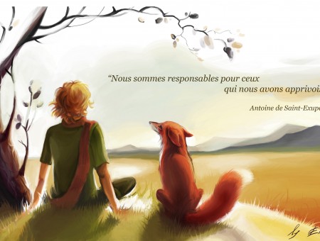 Orange Fox Illustration
