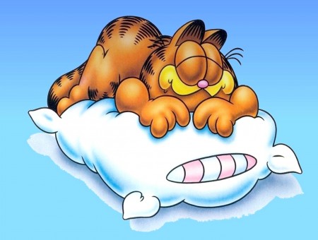 Garfield Cartoon Character