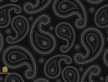 Black And White Paisley Textile