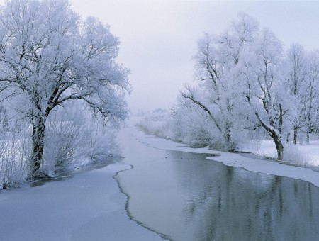 Frozen Brook