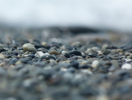 Gray Stone Pebble