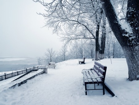 Snow Covered Ground Trees And Benches