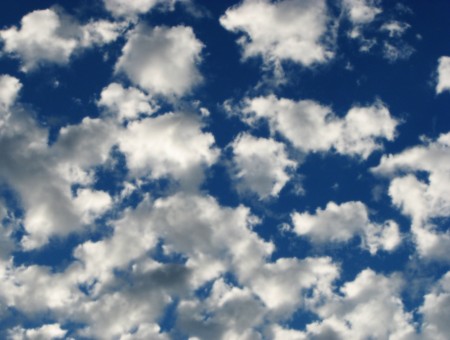 White Cumulus Clouds Scattered Under Blue Sky