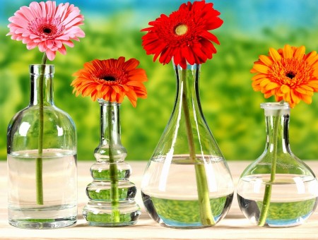 Flowers In Glass Vases