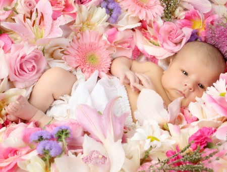 Topless Baby Lying On White Pink And Purple Flowers