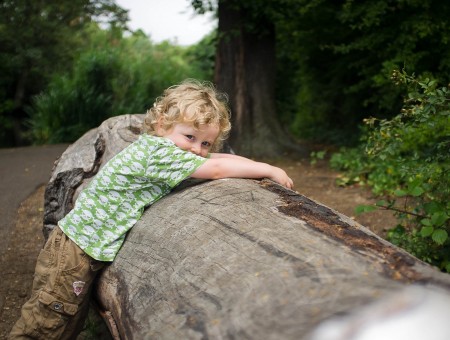 Child In Green Shirt Leaning On Wood Log During Daytime