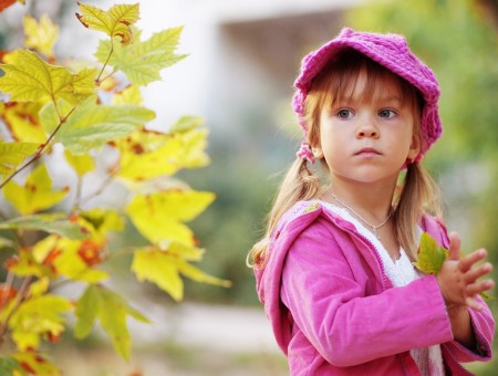 Girl In Pink Knit Cap Beside A Small Maple Tree