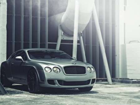 Gray Bentley Continental Near The Gate