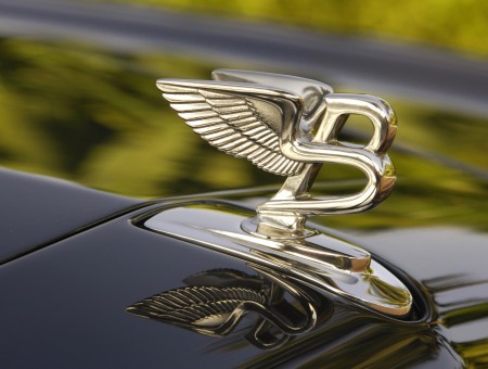 Silver Bentley Car Emblem