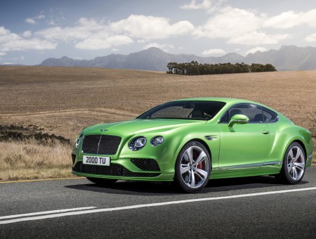 Green Bentley Continental On The Road
