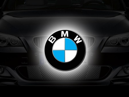 BMW Logo Illustration
