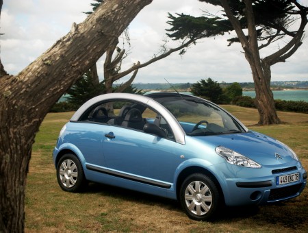 Blue Citroen C3 On Green Grass Field By The Seashore During Day