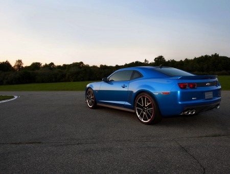 Blue Sports Coupe On Street Between Grasses During Daytime