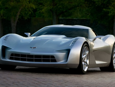 Silver Chevrolet Corvette Concept Car
