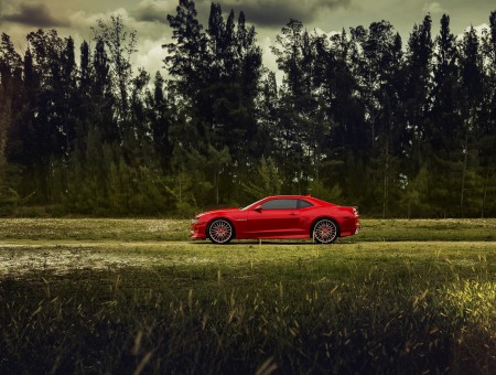 Red Coupe Parked Against Green And Black Tall Trees