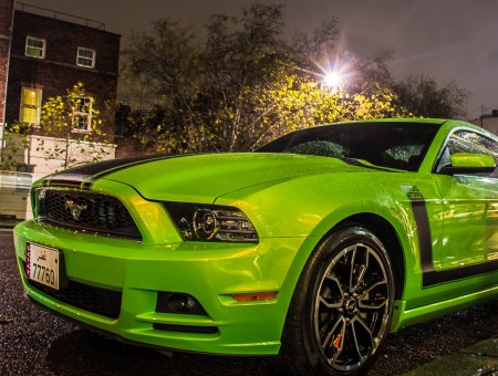 Green And Black Mustang Card On Ground