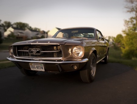 Grey Classic Ford Mustang On Road
