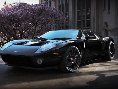 Black Ford GT Parked Beside Cherry Blossom Tree