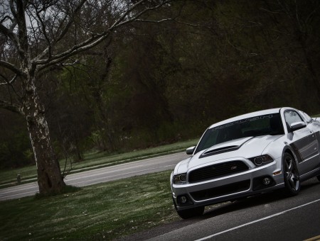 White Ford Mustang With Trees In Sight