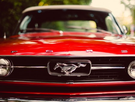 Red Classic Ford Mustang Convertible Parked Outdoor During Daytime