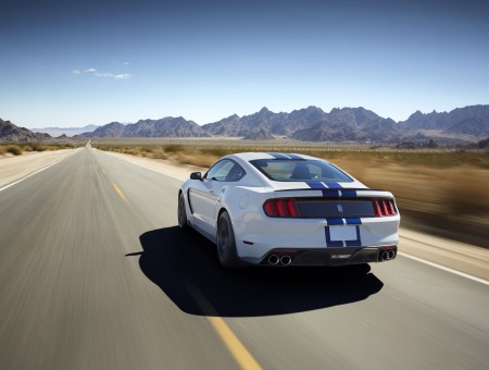 White Ford Mustang Shelby GT350 On Road Way