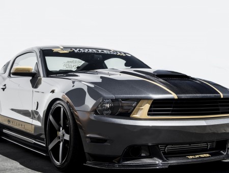 Gray And Black Shelby GT