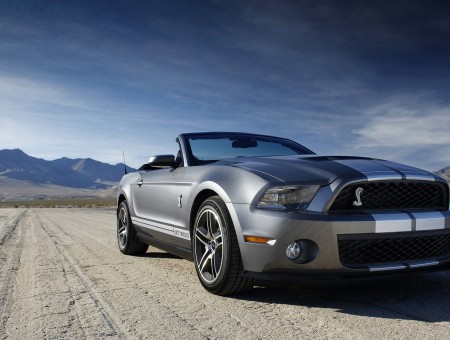 Gray And Silver Ford Mustang Shelby Convertible On Tarmac