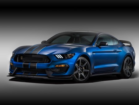 Blue And Black Muscle Car