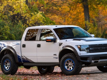 White Blue And Grey Ford F150 Crew Cab Pickup Truck With Trees Behind