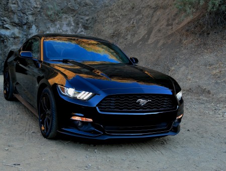Black Ford Mustang GT350 Going Out Of Tunnel