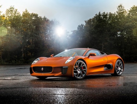 Orange Jaguar Sports Coupe
